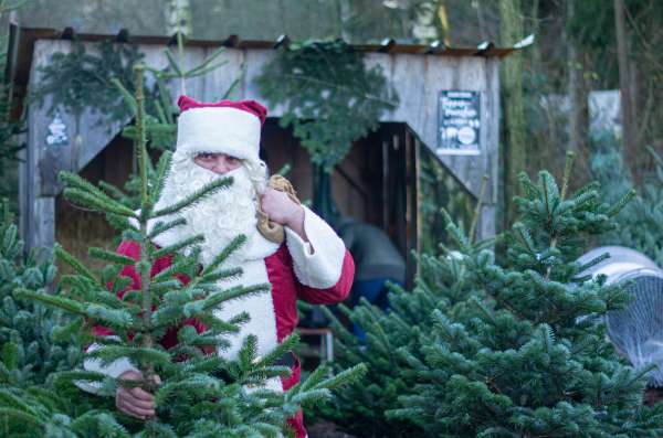 Tierische Weihnacht mit Tannenbaumverkauf im Wildpark Müden